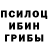 Галлюциногенные грибы Cubensis Viorel Gheorghies