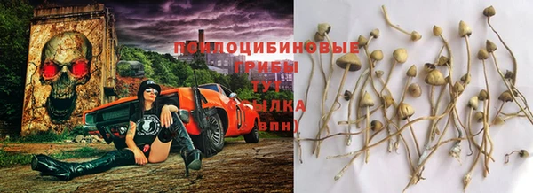 ешки Алзамай