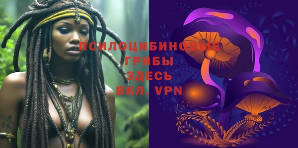 эйфоретик Алексеевка