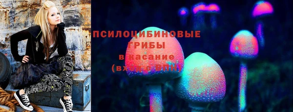 эйфоретик Алексеевка