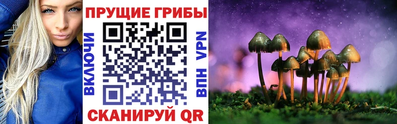 ОМГ ОМГ ТОР  Киренск  Псилоцибиновые грибы Magic Shrooms 